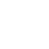 Opus+